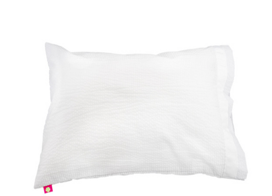 Oh Mint! Travel Pillow Case